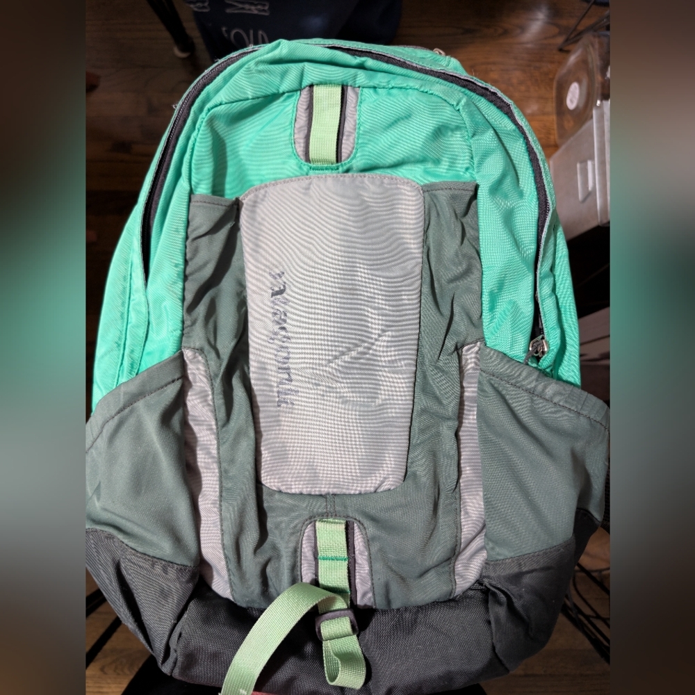 Patagonia Backpack